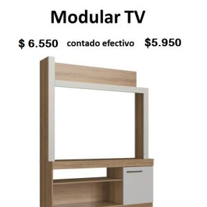 Modular TV