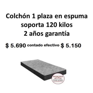 Colchón 1 Plaza
