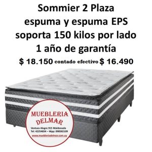 Sommier 2 Plaza