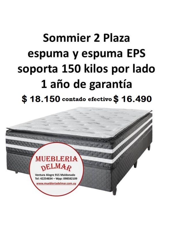 Sommier 2 Plaza