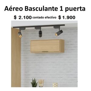 Aéreo 1 puerta basculante