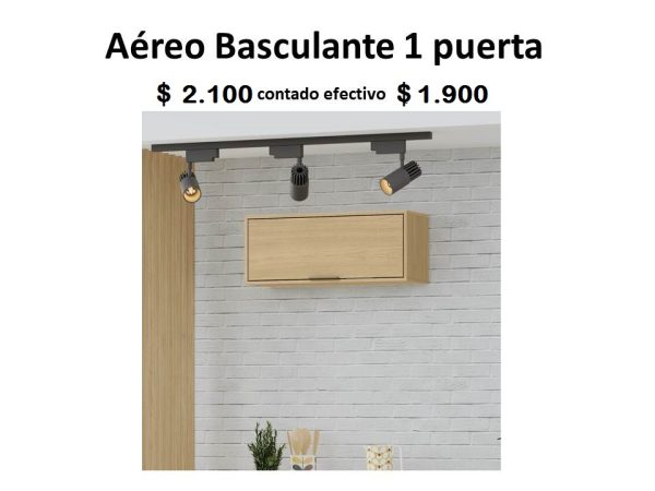 Aéreo 1 puerta basculante