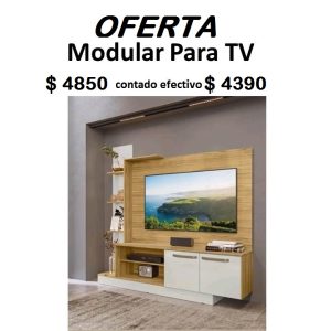 Modular TV