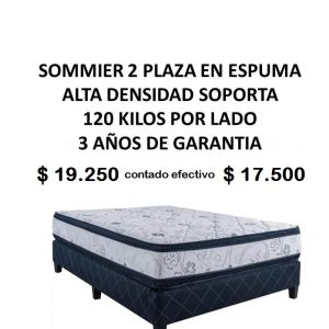 Sommier 2 Plaza