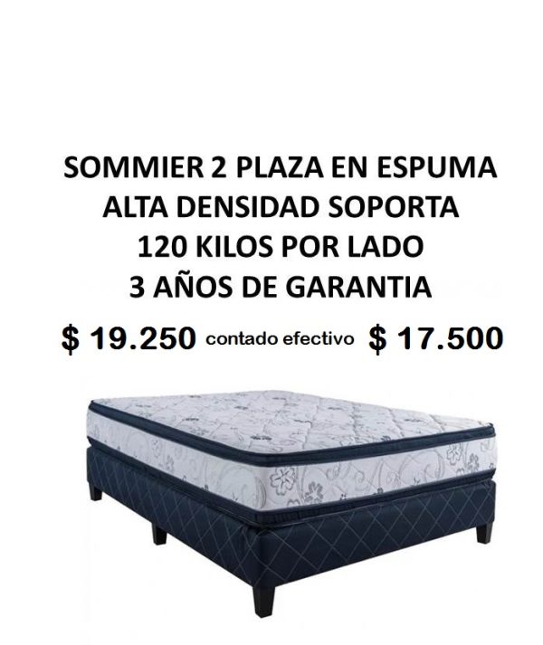 Sommier 2 Plaza