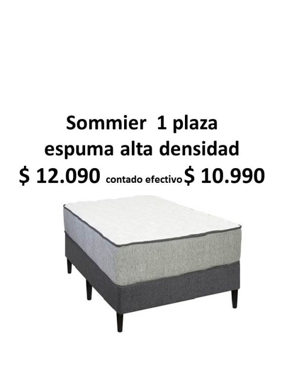 Sommier 1 Plaza