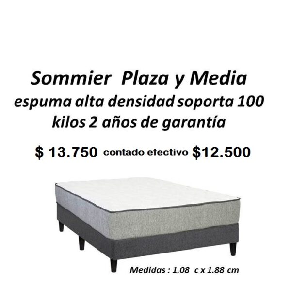 Sommier Plaza Y Media