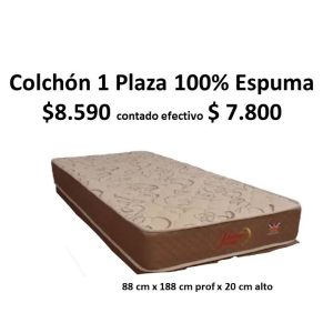 Colchón 1 Plaza 100% Espuma