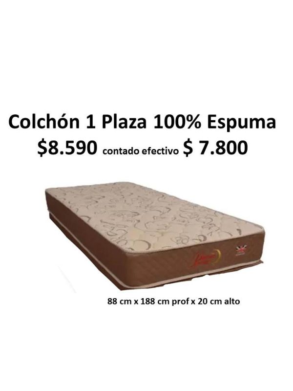 Colchón 1 Plaza 100% Espuma
