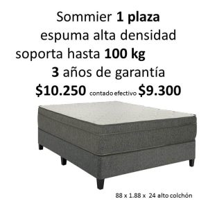 Sommier 1 plaza