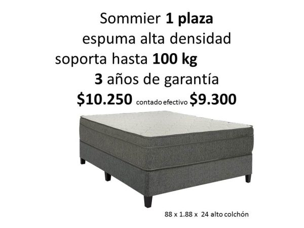 Sommier 1 plaza