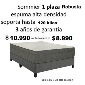 Sommier 1 plaza Robusta