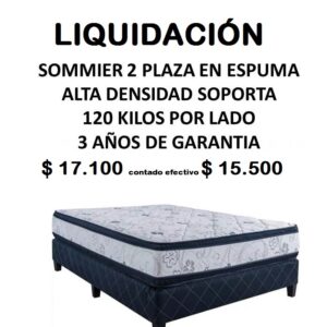 Sommier 2 Plaza