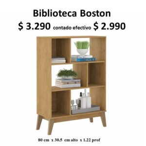 Biblioteca Boston